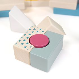 Bigjigs Toys Secchiello con 50 Blocchi