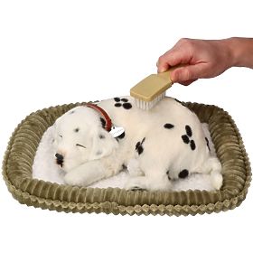 Perfect Petzzz Adotta un dalmata che respira