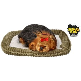 Perfect Petzzz Cucciolo di York che Russeggia