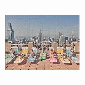Puzzle Galison Cani a New York Gray Malin 1000 pezzi