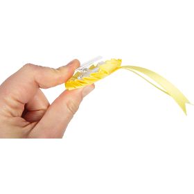 small foot Set di cura del cavallo con borsa rossa, small foot