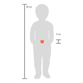 small foot Set di frutta da taglio Fresh